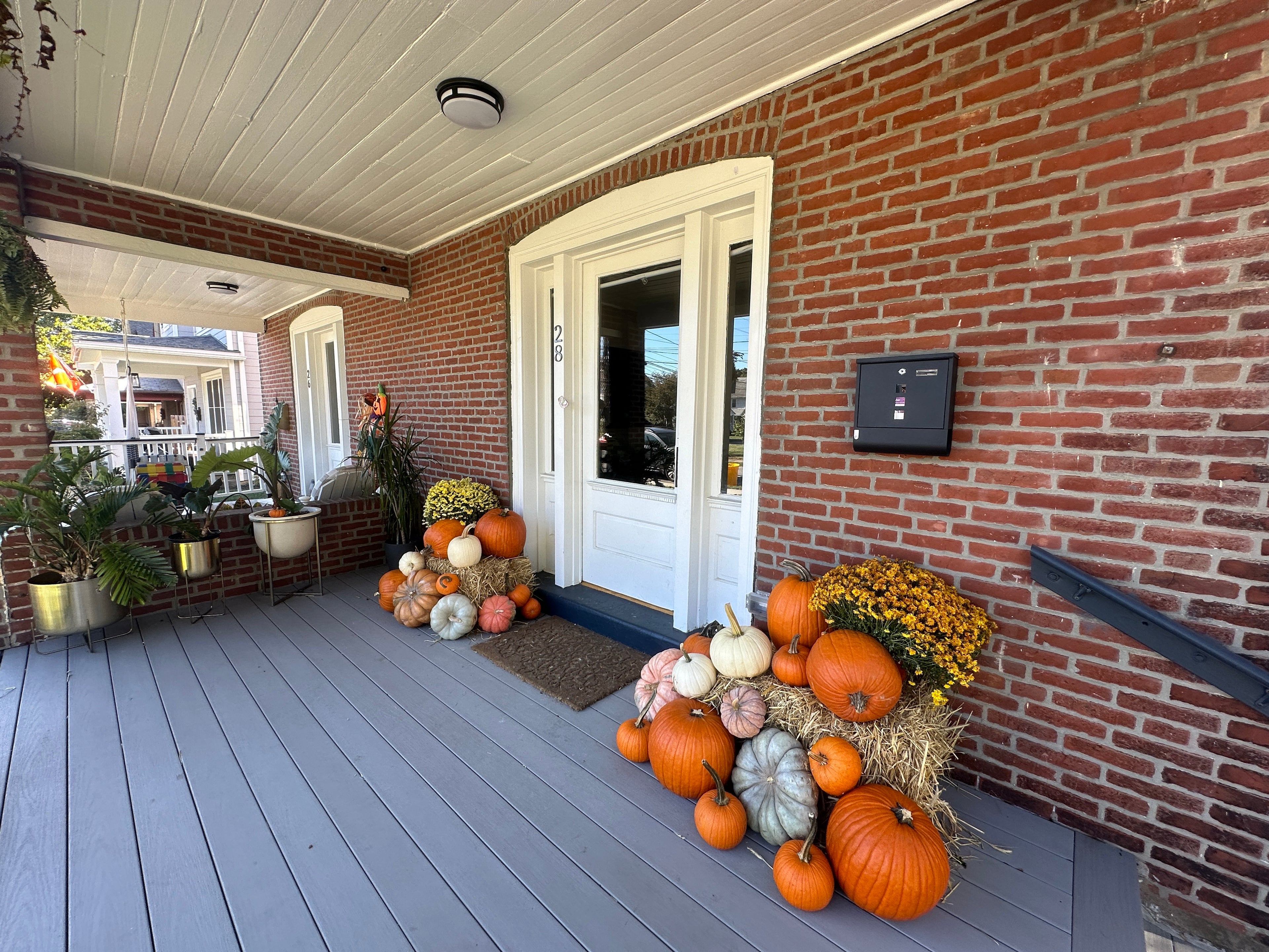 Essentials (25+ pumpkins)