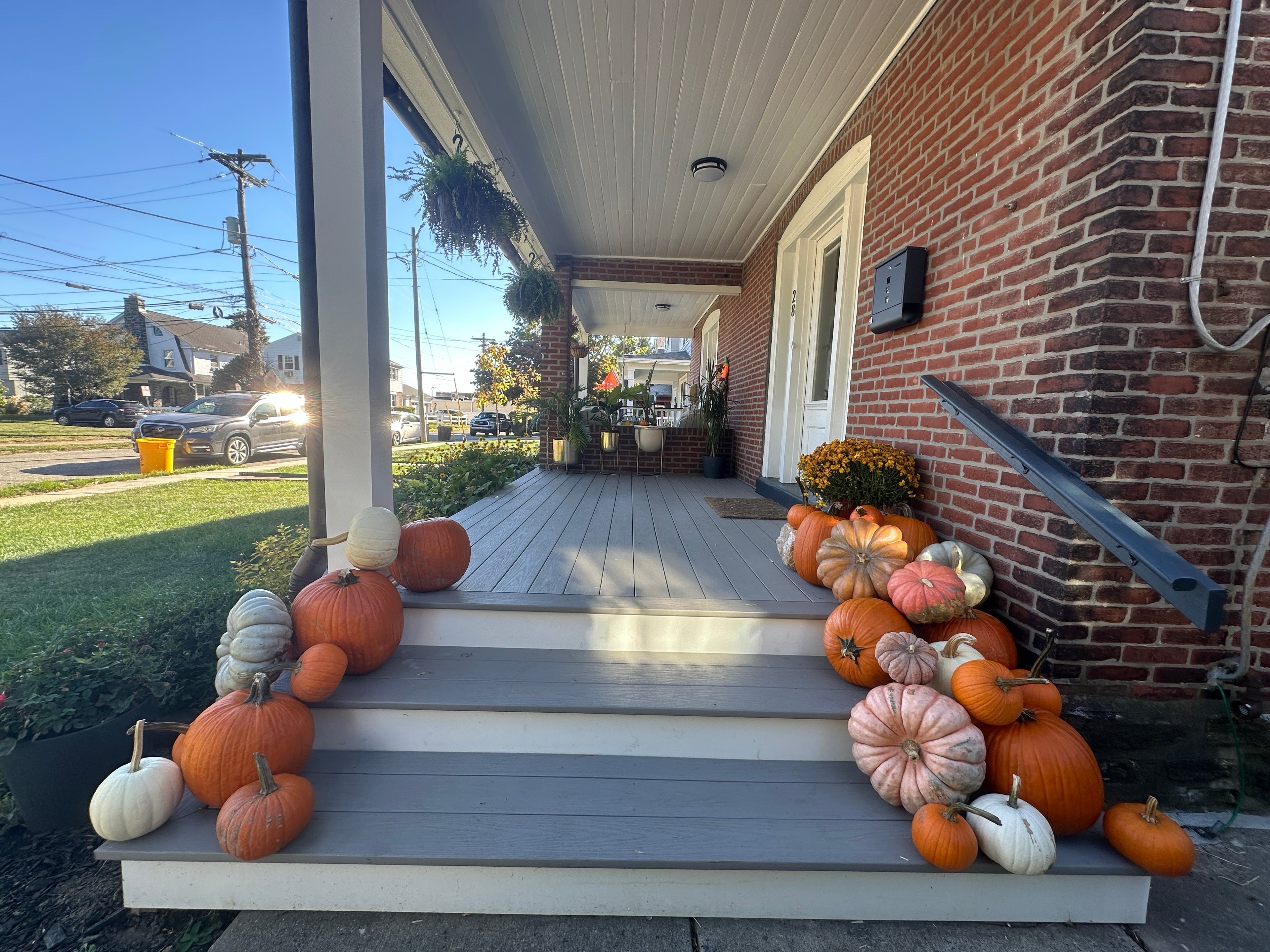 Essentials (25+ pumpkins)