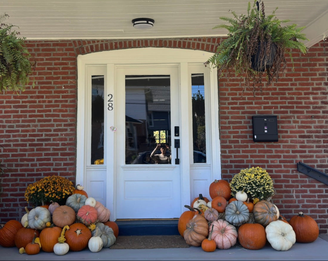 Classic (40+ pumpkins)