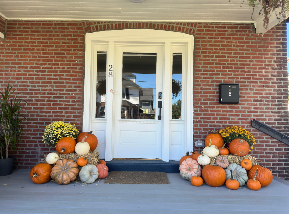 Essentials (25+ pumpkins)