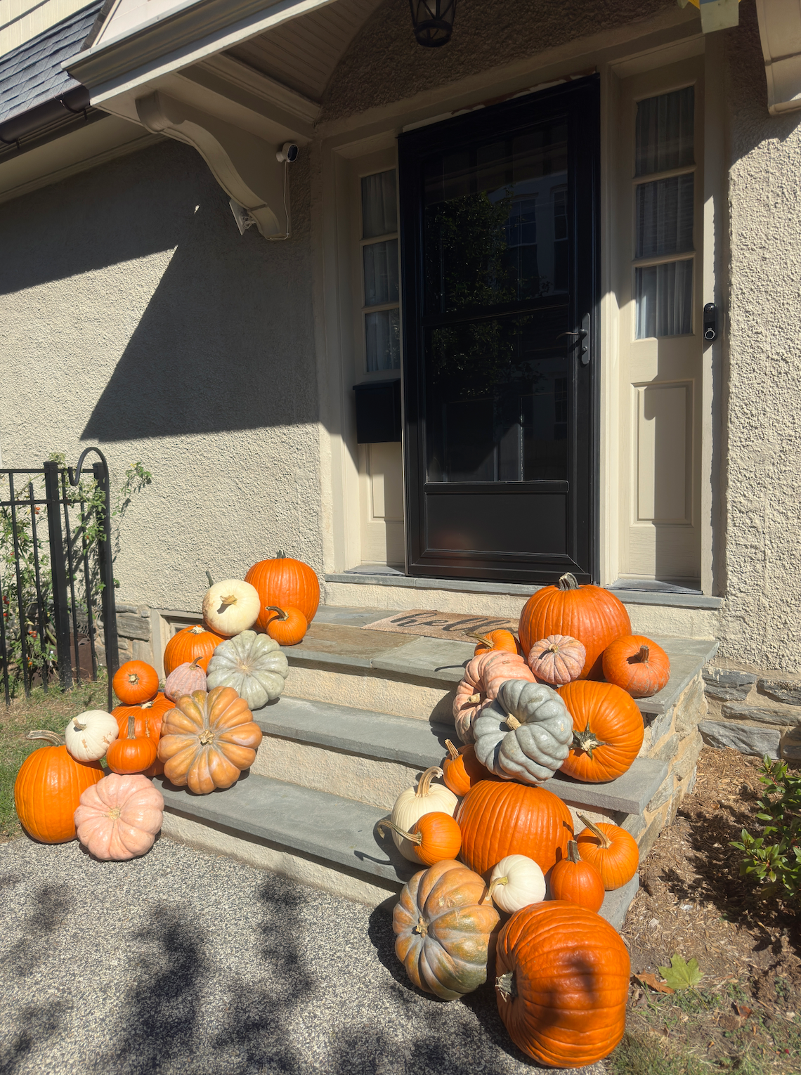 Essentials (25+ pumpkins)