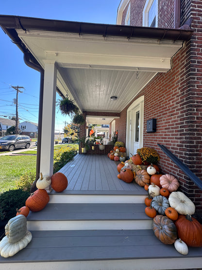 Deluxe (50+ pumpkins)