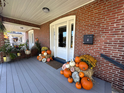 Essentials (25+ pumpkins)