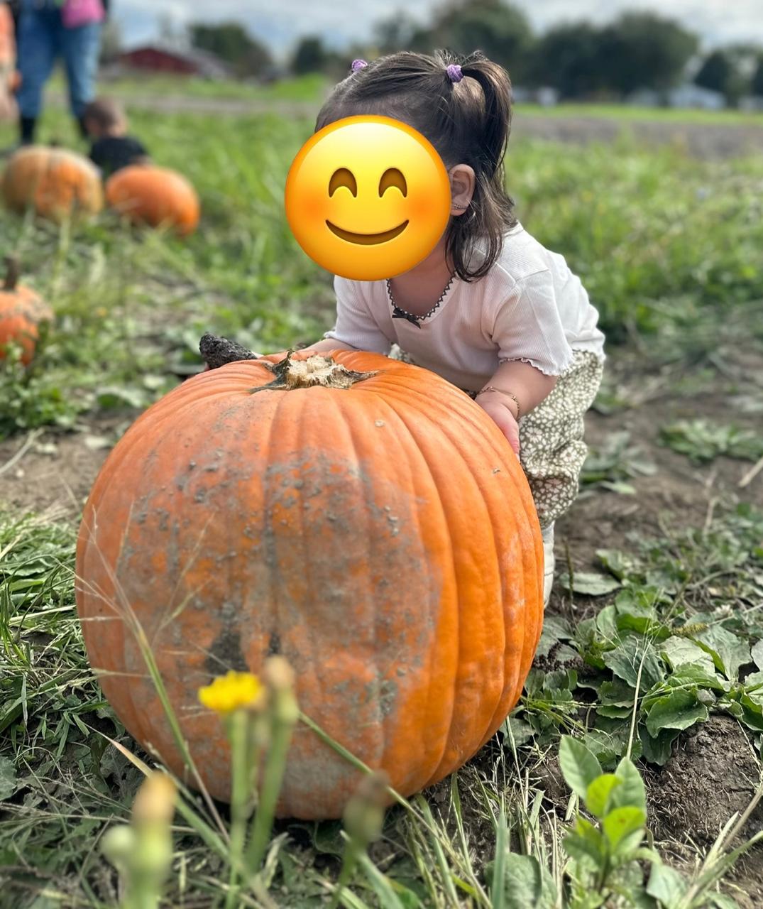 Master pumpkin
