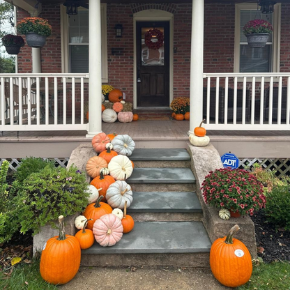 Essentials (25+ pumpkins)