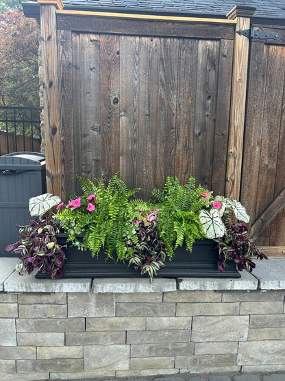 Window box