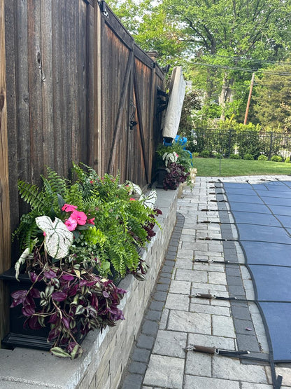 Window box